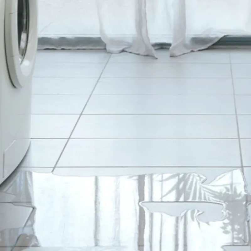 Appliance Leak Cleanup in De Land Southwest, FL